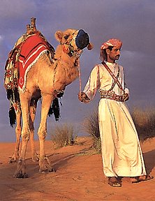 Arab s velbloudem